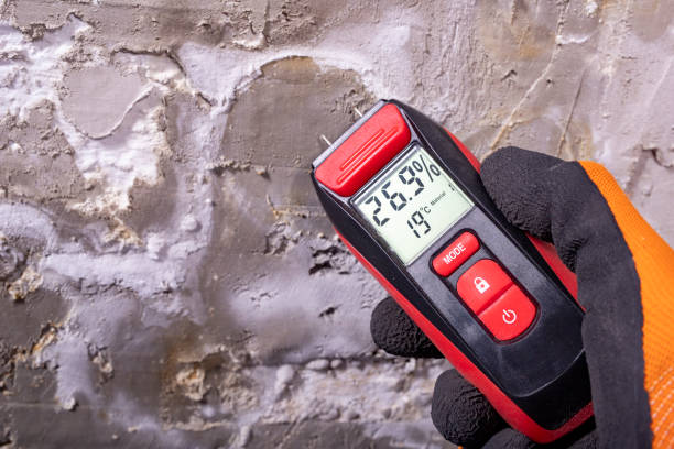 Best Mold Removal and Inspection  in South Whitley, IN